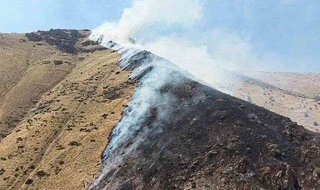 Elazığ'da dağlık alanda yangına sebep olan şüpheli tutuklandı