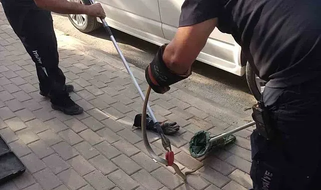 Minibüsün motoruna giren yılan itfaiye ekiplerini harekete geçirdi