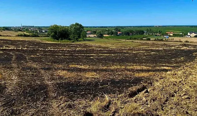 Alaçam'da arazi yangını korkuttu