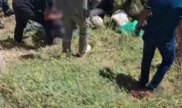Tokat'ta otomobille çarpışan traktör şarampole devrildi: 1 ölü
