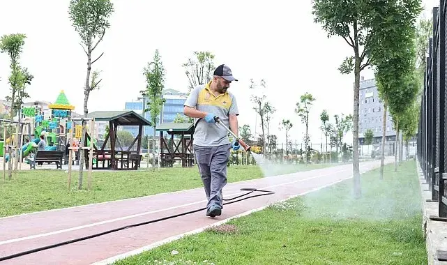 Sultangazi'de yeşil alanları ilaçlama çalışmaları sürüyor