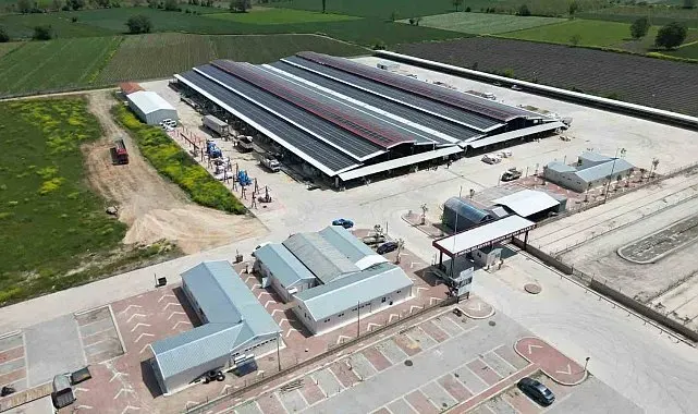 İnegöl hayvan pazarı 2 ay aradan sonra bu hafta açılıyor