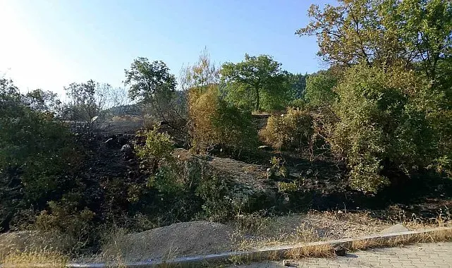 Bostanyeri'nde örtü yangınında alevler büyümeden kontrol altına alındı