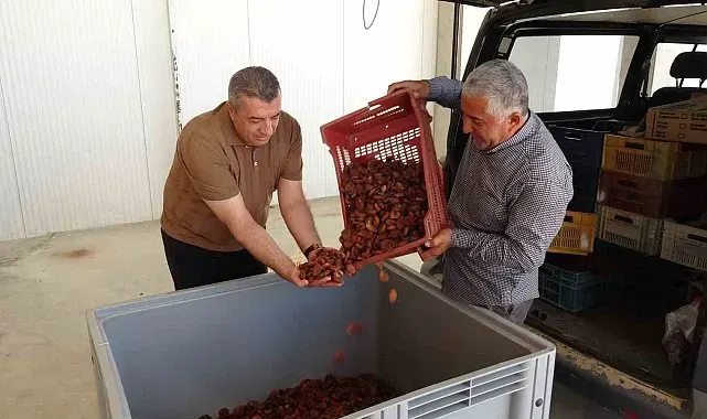 MTB Başkanı Özcan: "Lisanslı depolar üreticinin güvencesidir"