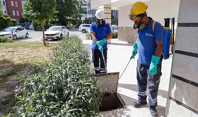 Büyükşehir vektörle mücadelede eğitim ve saha çalışmalarını sürdürüyor