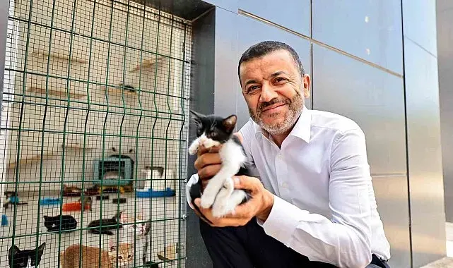 Denizli Büyükşehir'den can dostlarına şefkat eli
