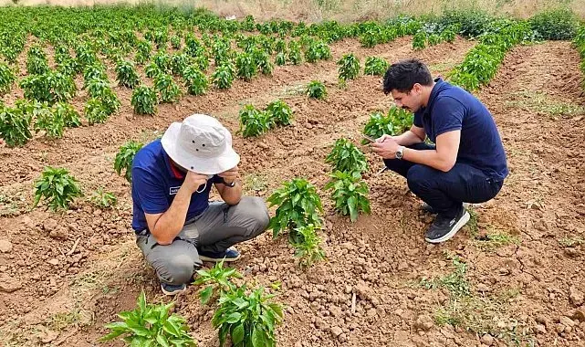 Başmakçı'da sebze ekili alanlar kontrol edidldi