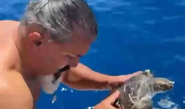 Alanya'da çuvala dolanan caretta carettayı tur teknesi kaptanı kurtardı