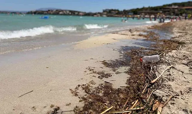 Çeşme sahillerindeki kirlilik tatilcilerin tepkisine neden oldu