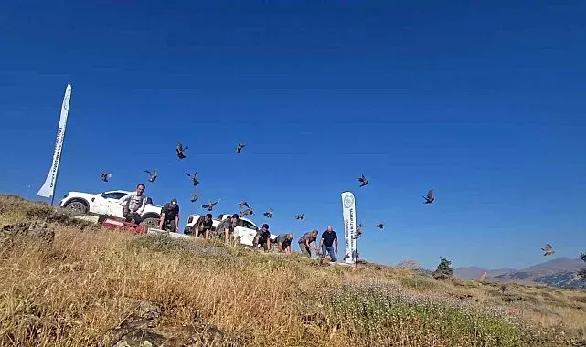 Diyarbakır'da keneye karşı doğal mücadele