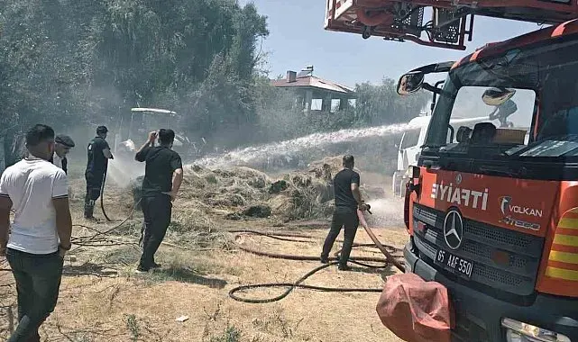 Van'da ot yangını