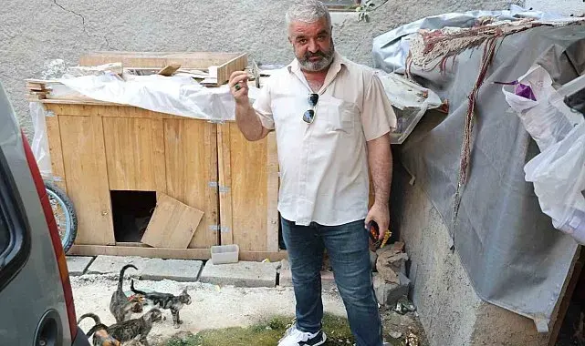 Kedi maması çalan hırsız vatandaşı canından bezdirdi