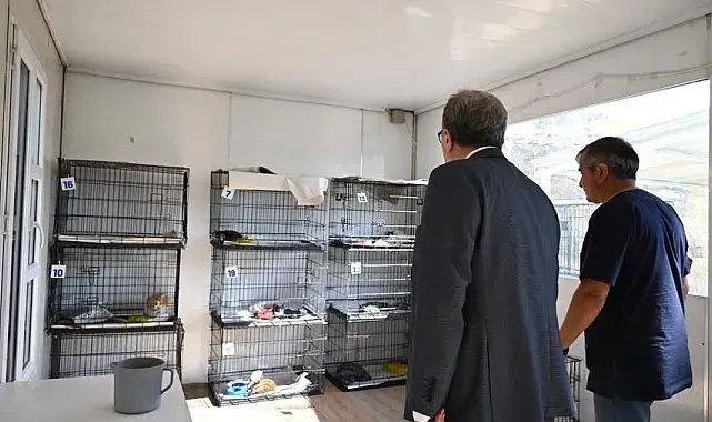 Kaymakam Helvacı'dan hayvan bakımevinde yerinde inceleme