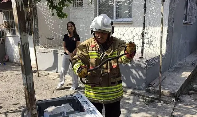 Hassa ve Erzin'de yerleşim alanlarına giren yılanları itfaiye yakaladı