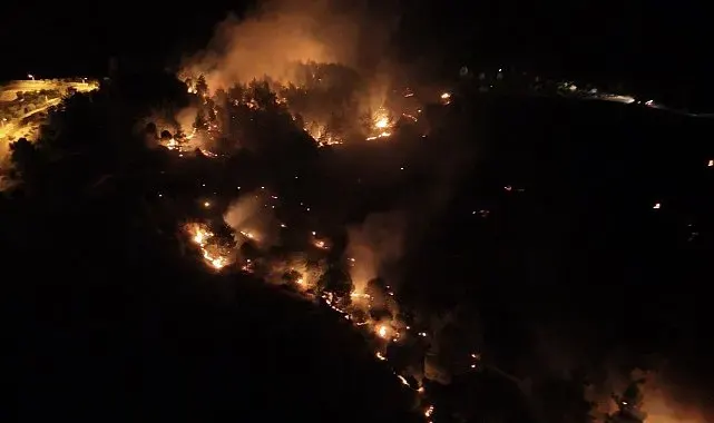 Adıyaman'da orman yangını