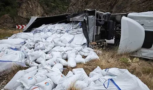 Gümüşhane'de balık yemi yüklü tır devrildi: Sürücü yaralandı