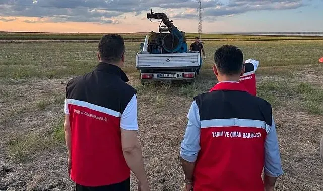 Çekirge üreme alanları ilaçlandı