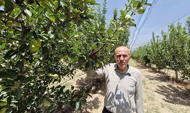 Rekor üretime dolandırıcı uyarısı