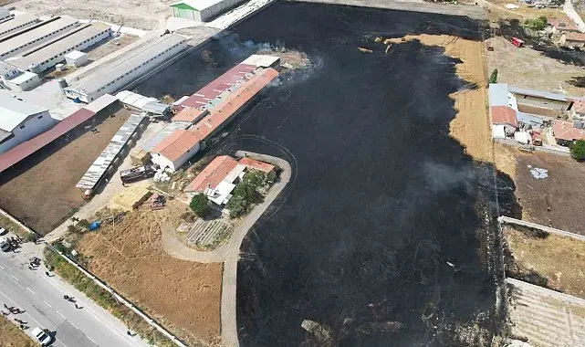 Anız yangınları hem canlılara hem de toprağa zarar veriyor