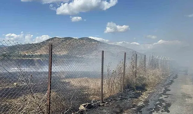 İzmir'de korkutan yangın: Alevler evlere ve ağıllara kadar ulaştı