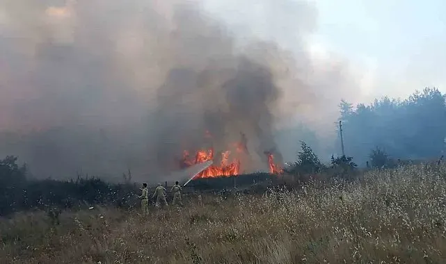 Muğla'daki orman yangınında 1 kişi gözaltına alındı