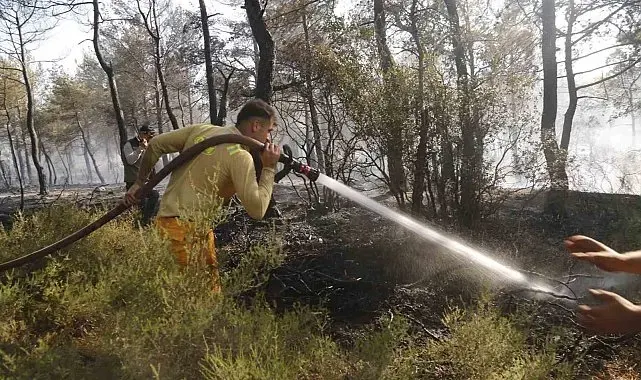 Ateş savaşçılarının bölgedeki çalışmaları sürüyor