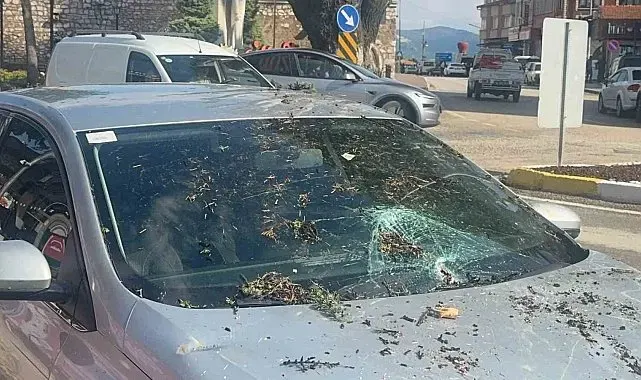 Fırtınada kökünden sökülen ağaç otomobilin üzerine devrildi