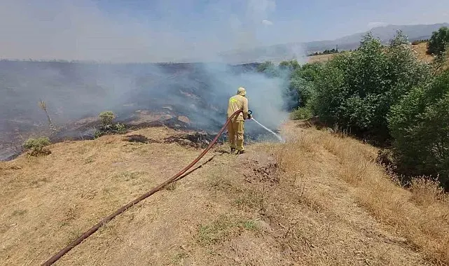 Bingöl'de 5 ayrı noktada çıkan yangınlar söndürüldü