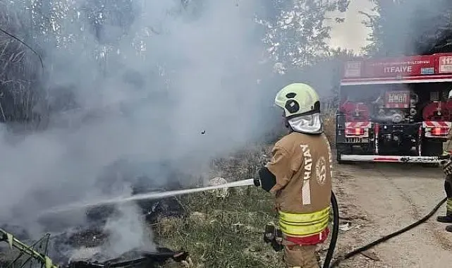 Defne'de sazlık alan yangını büyümeden söndürüldü