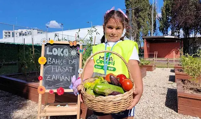 Lokomotif Çocuk Köyü Lotus'ta ilk hasat sevinci