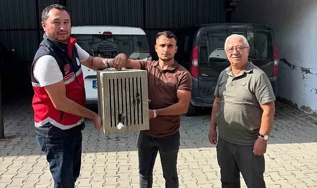 Yaralı halde bulunan leylek, koruma altına alındı