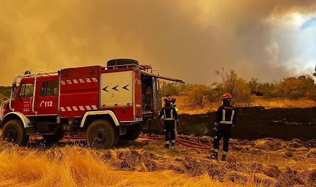 İspanya'daki orman yangınlarında 25 bin hektarlık alan kül oldu