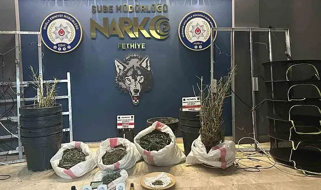 Uyuşturucu operasyonunda bir tutuklama