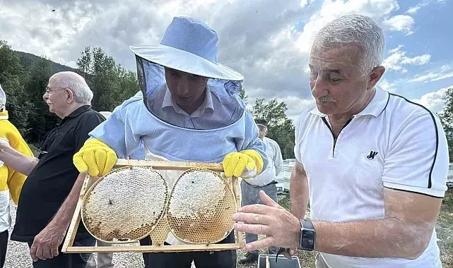 AB tescilli Yenice ıhlamur balında hasat başladı