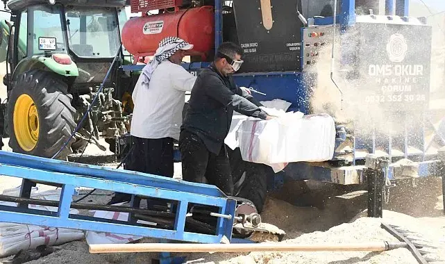 Yozgat'ta saman mesaisi: Tozun içinde ekmek mücadelesi