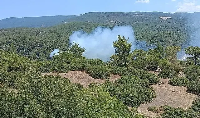 Aydın Valiliği'nden kritik orman yangını uyarısı