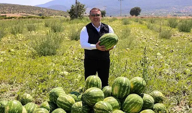 Bilecik'te 62 bin tonluk karpuz hasadı bekleniyor