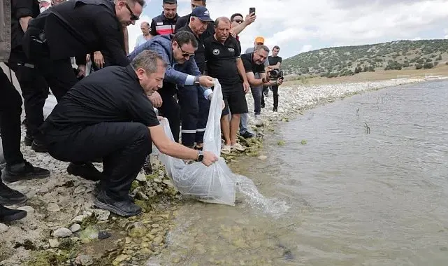 Kütahya'da Porsuk Barajı Göleti'ne 107 bin 500 balık yavrusu bırakıldı