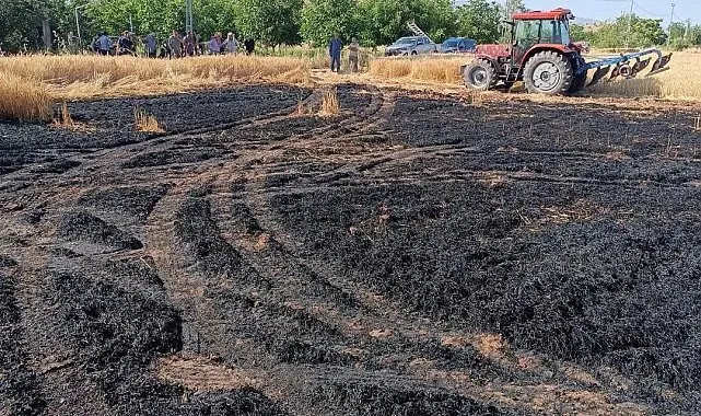 Elazığ'daki ekili tarlada çıkan yangın ekiplerce söndürüldü