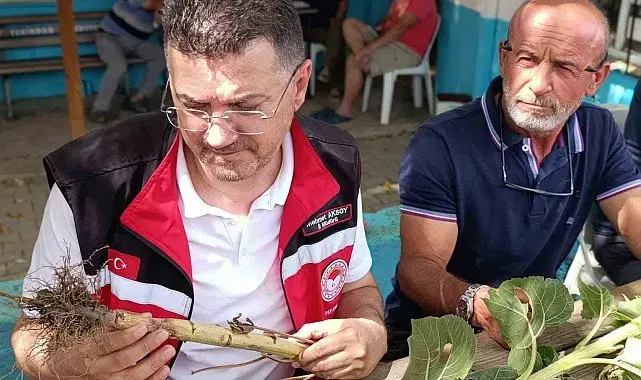 Tekirdağ'da dolunun vurduğu köylerde hasar tespit çalışmaları sürüyor