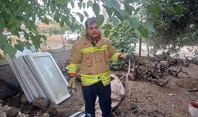 Hatay'da yerleşim alanlarında görülen yılanlar doğal yaşam alanına bırakıldı