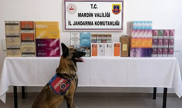 Mardin'de kaçak tütün operasyonunda 2 gözaltı
