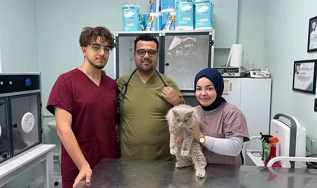 Veterinerde deprem etkisi yapan kedi Türkiye'nin gündeminde