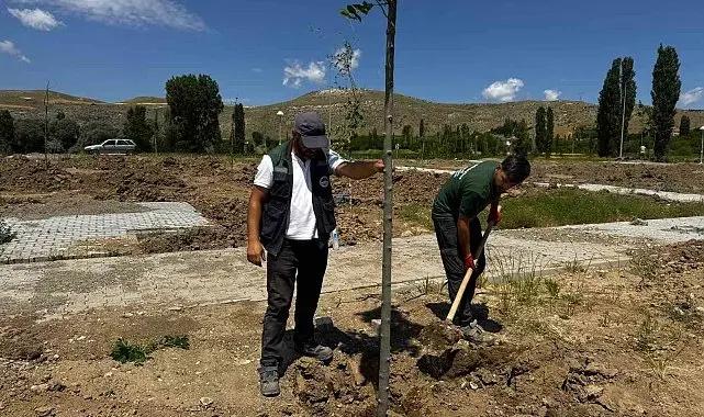Büyükşehir'den Şahruh Köprüsü yanına dev etkinlik alanı