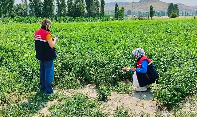 Tarım arazilerinin korunması çalışmaları sürüyor