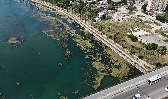 Seyhan Nehri kirliliğe teslim oldu, gönüllü genç sandalla temizliğe çıktı