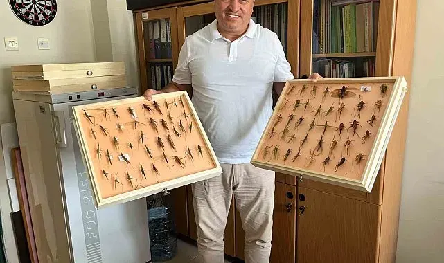 Uzmanından 'çekirge' açıklaması: "Ülkemizde görülen durum bir salgın değil, mevsimsel bir durum"