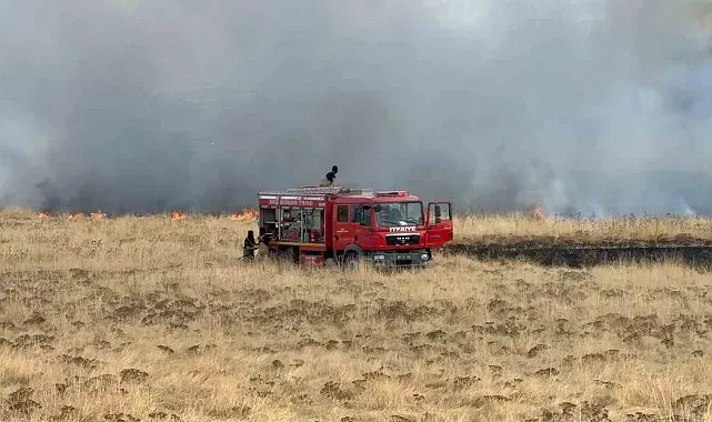 Bursa'da otluk alanda yangın