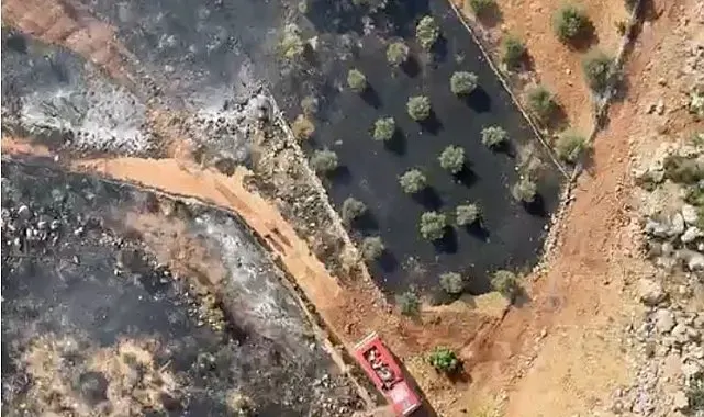 Antalya'da ormanlık alanı tehdit eden yangın