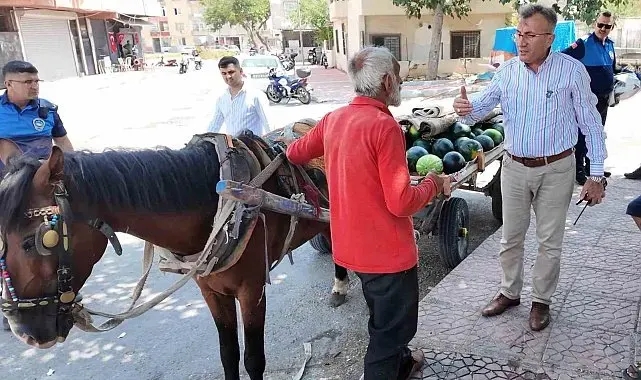 Mersin'de bitkin düşen at yeni yuvasına kavuştu
